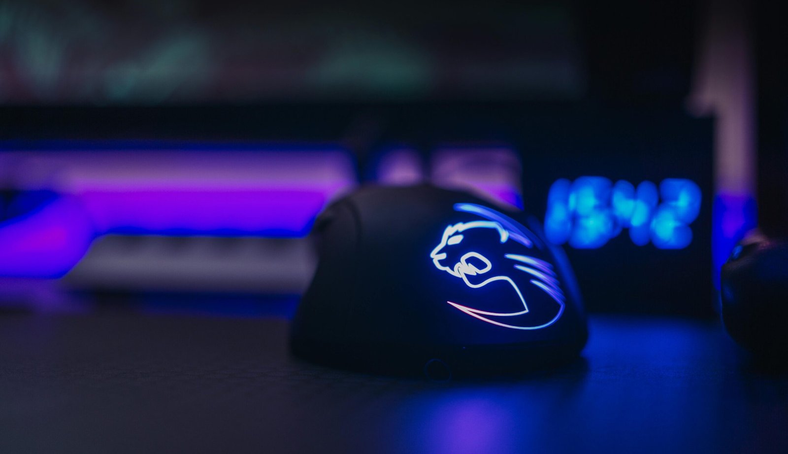 Image hover effect image